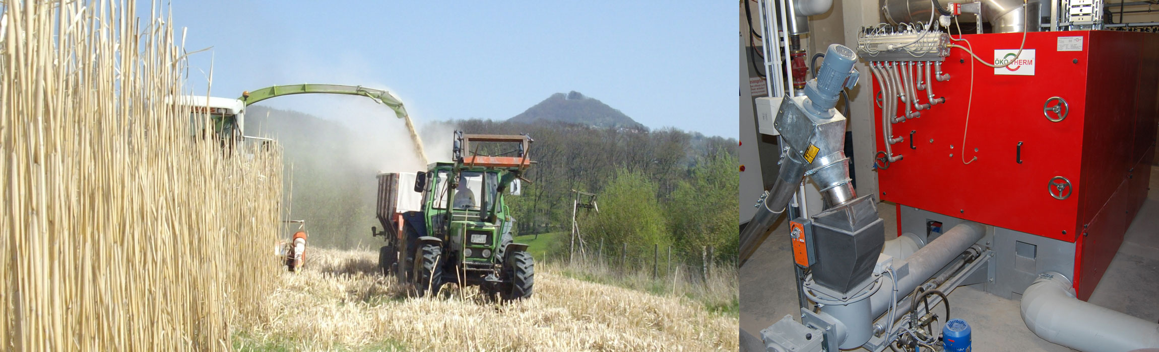 Biomasse-Heizanlagen fuer lokale Energieerzeugung